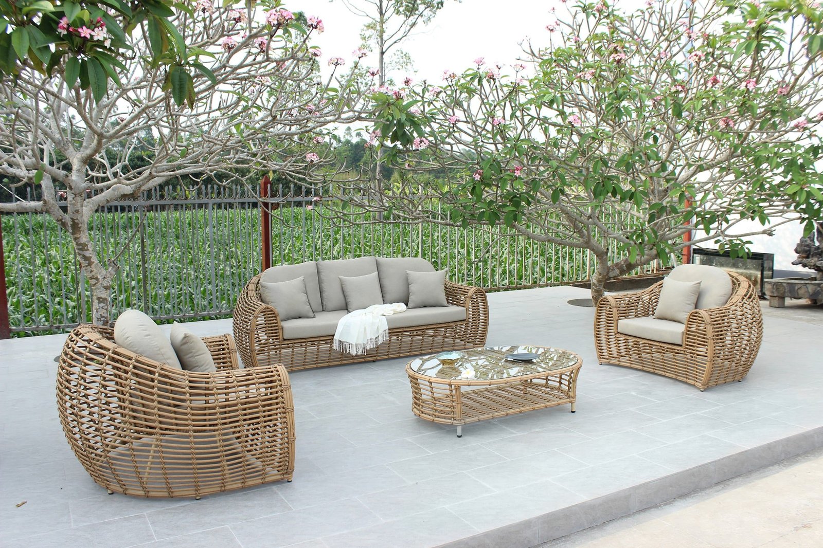Renava Sandra - Outdoor Beige + Wicker Sofa Set 1 Renava Sandra - Outdoor Beige + Wicker Sofa Set