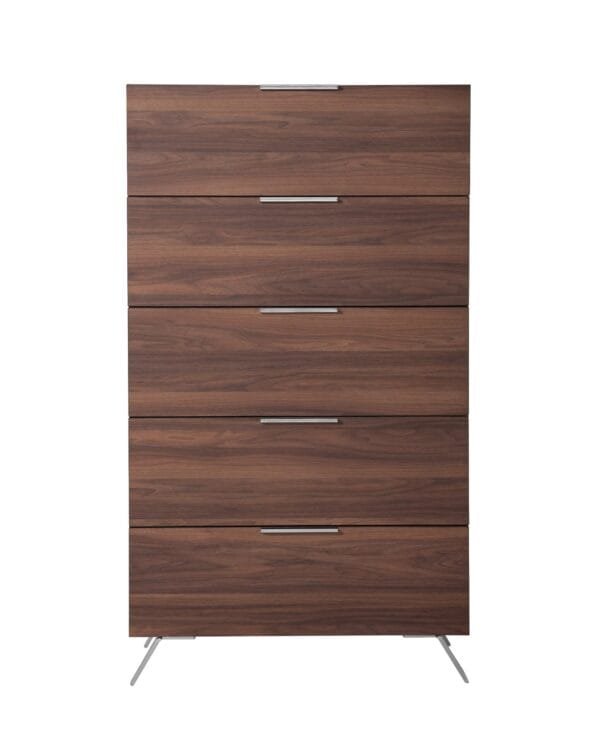 Nova Domus Brooklyn Italian Modern Walnut Chest - Image 3