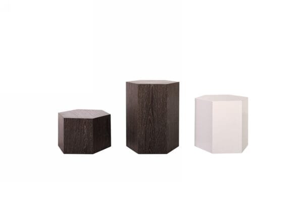Modrest Newmont - Modern Small Elm End Table - Image 2