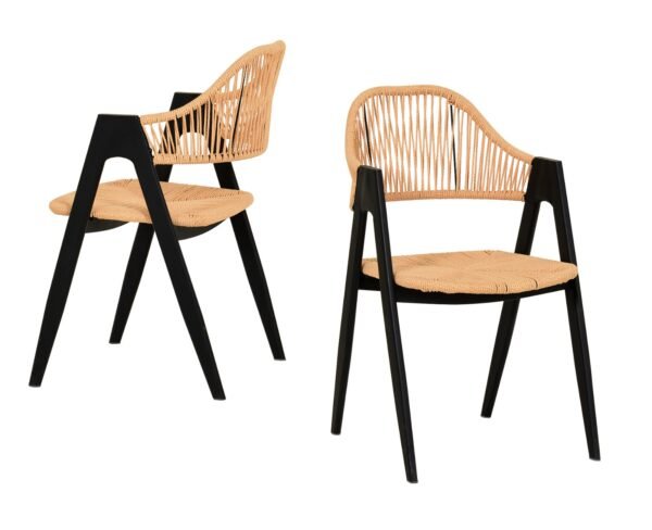 Modrest Gayle - Modern Rattan Dining Chair Set of 2 - Image 2