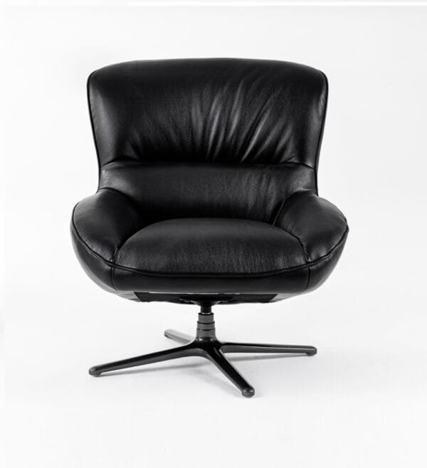 Modrest Theo - Modern Black Leather Accent Chair - Image 5