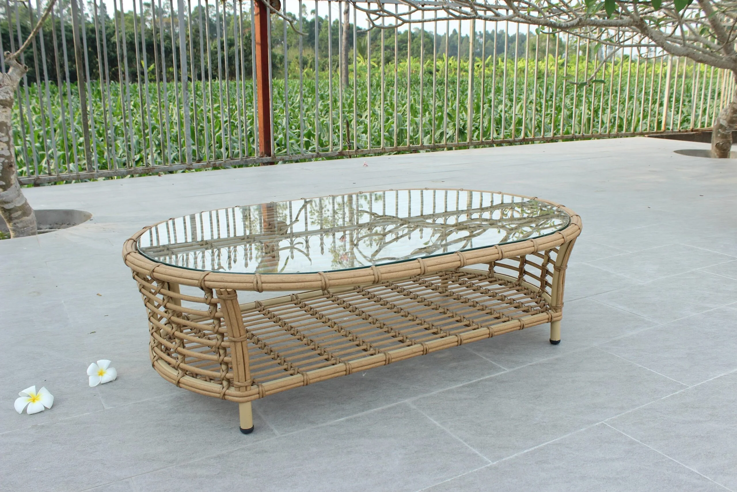 Renava Sandra - Outdoor Beige + Wicker Sofa Set - Image 4