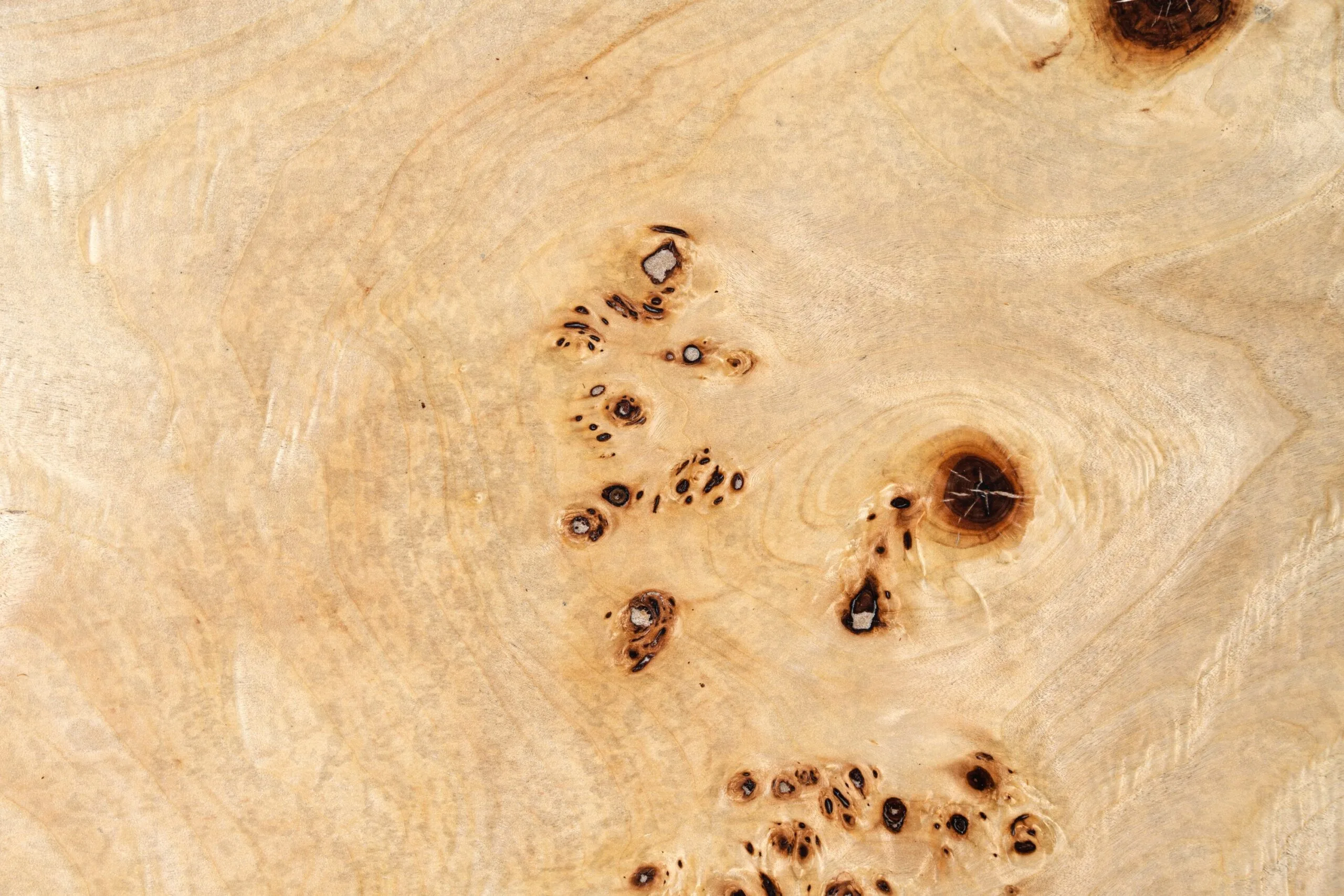 Modrest July - Modern Mapa Burl Round Coffee Table - Image 2