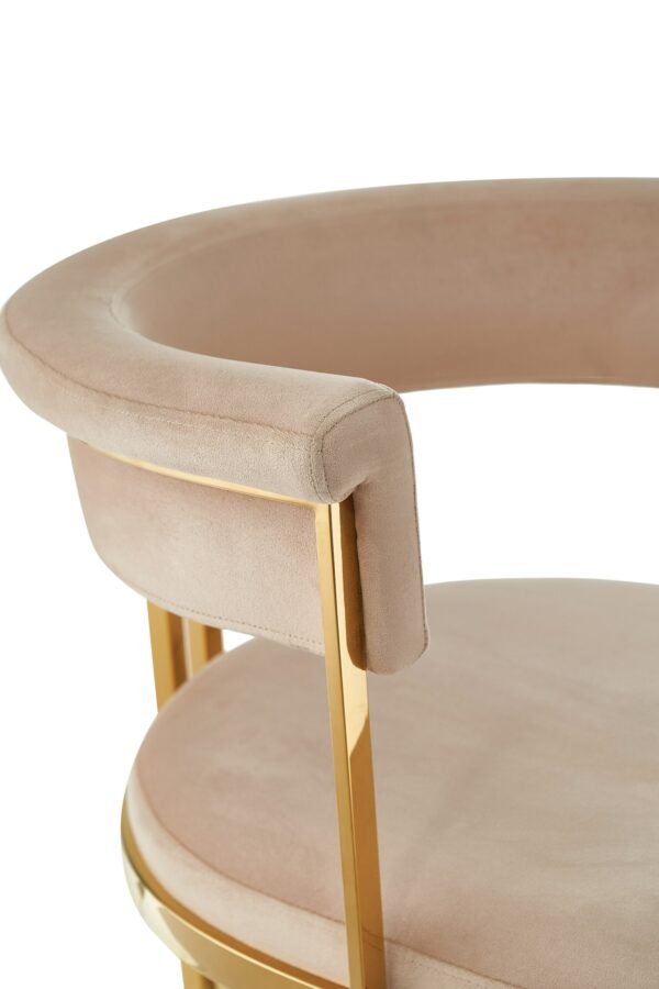 Modrest Munith - Modern Beige Velvet + Gold Dining Chair - Image 5