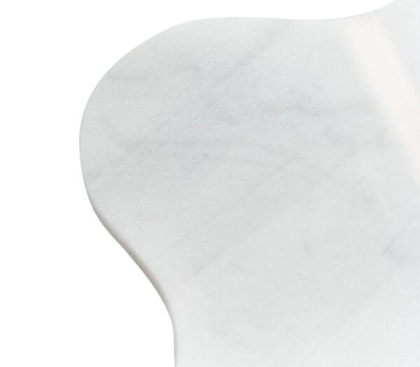 Modrest Aleidy - White Marble + Black Metal End Table - Image 3