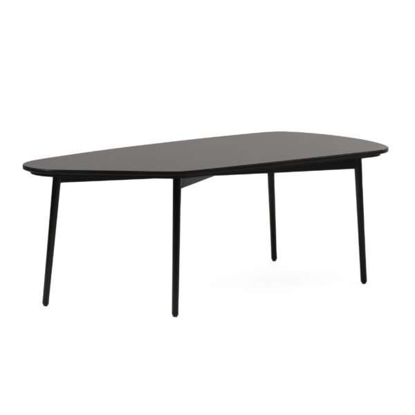 Modrest Andros - Black Marble + Black Metal Coffee Table - Image 2