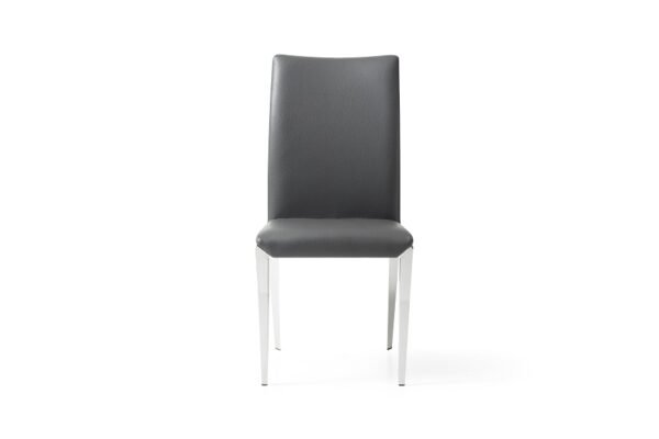 Modrest Taryn - Modern Dark Grey Dining Chair (Set of 2)