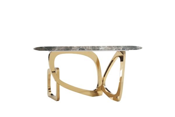 Modrest Colton - Glam Brown & Gold Console Table - Image 2