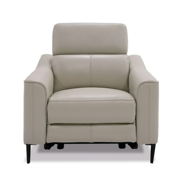 Divani Casa Eden - Modern Grey Leather Armchair - Image 2