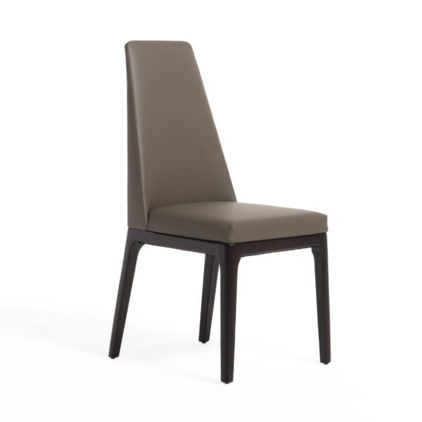 Modrest Encino - Modern Taupe & Timber Chocolate Dining Chair (Set of 2)