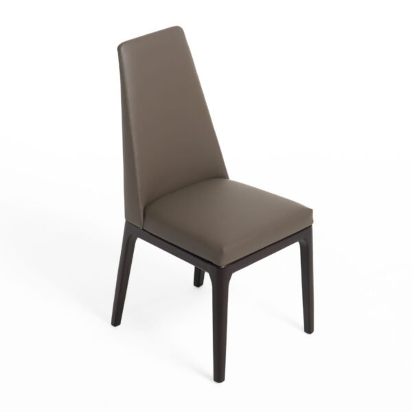 Modrest Encino - Modern Taupe & Timber Chocolate Dining Chair (Set of 2) - Image 2