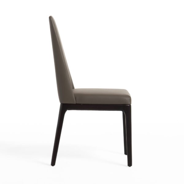 Modrest Encino - Modern Taupe & Timber Chocolate Dining Chair (Set of 2) - Image 3