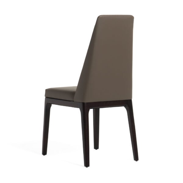 Modrest Encino - Modern Taupe & Timber Chocolate Dining Chair (Set of 2) - Image 5