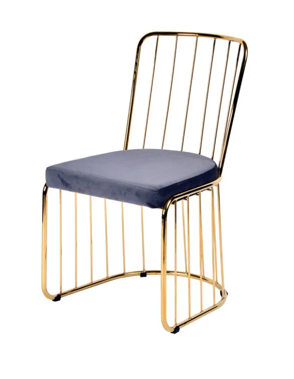 Modrest Holly Modern Grey Fabric Dining Chair (Set of 2)