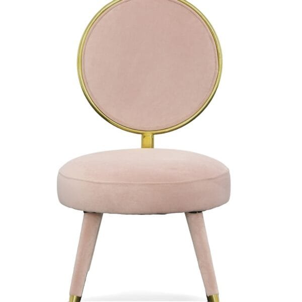 Modrest Haswell - Glam Pink Velvet Accent Chair (Set of Two) - Image 4