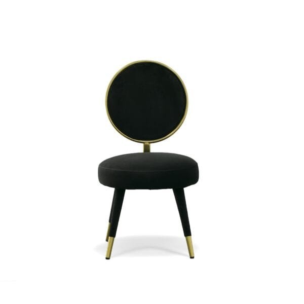 Modrest Haswell - Glam Black Velvet Accent Chair (Set of Two)