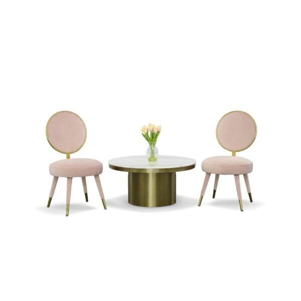 Modrest Haswell - Glam Pink Velvet Accent Chair (Set of Two) - Image 5