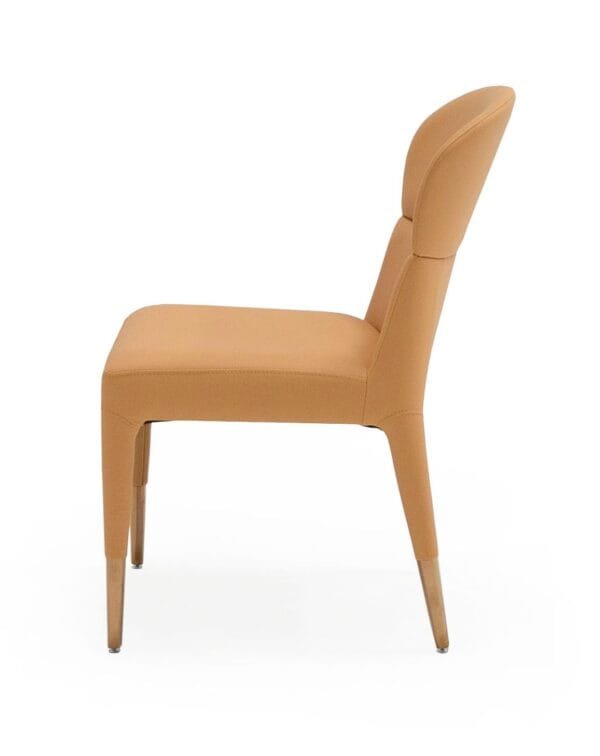 Modrest Ogden - Modern Peach & Rosegold Dining Chair (Set of 2) - Image 2