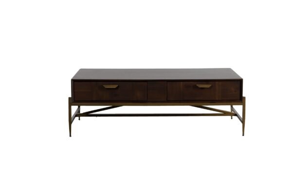 Modrest Shane - Modern Acacia & Brass Coffee Table