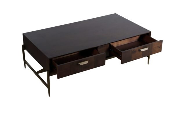 Modrest Shane - Modern Acacia & Brass Coffee Table - Image 3